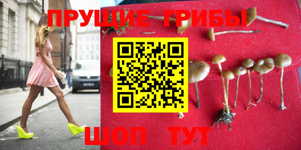 Псилоцибиновые грибы Psilocybe  Вход с VPN  Йошкар-Ола 